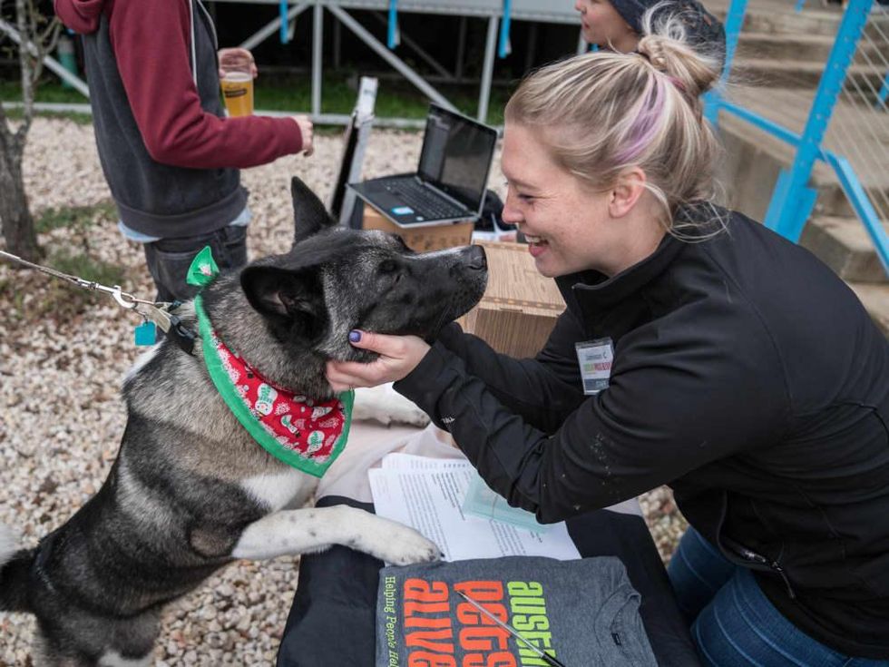 Frost Austin Eastcider Pup-a-palooza Austin Pets Alive