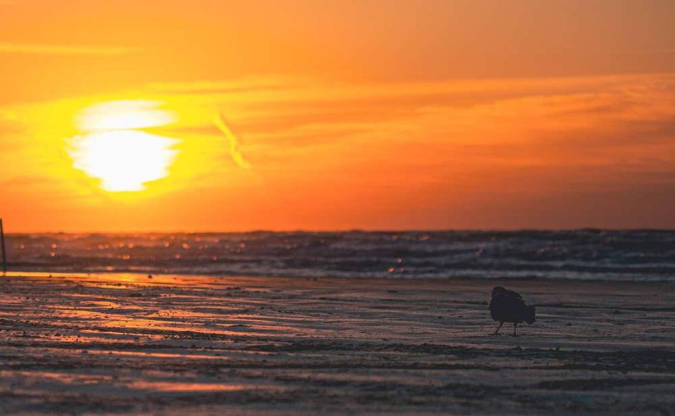 Galveston Island State Park 2022