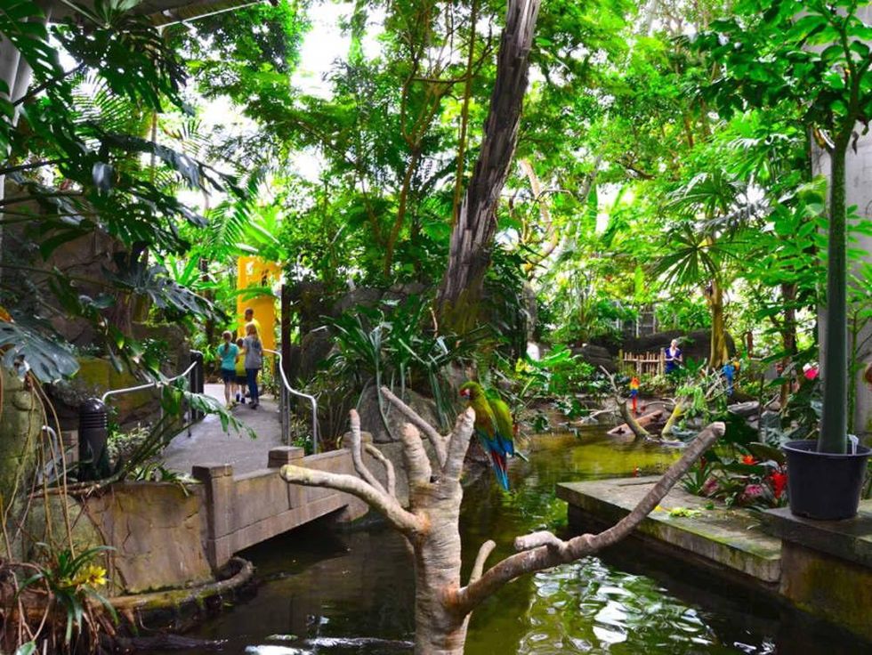 Galveston Moody Rainforest Pyramid
