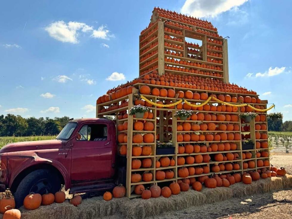 Georgetown Fall Festival
