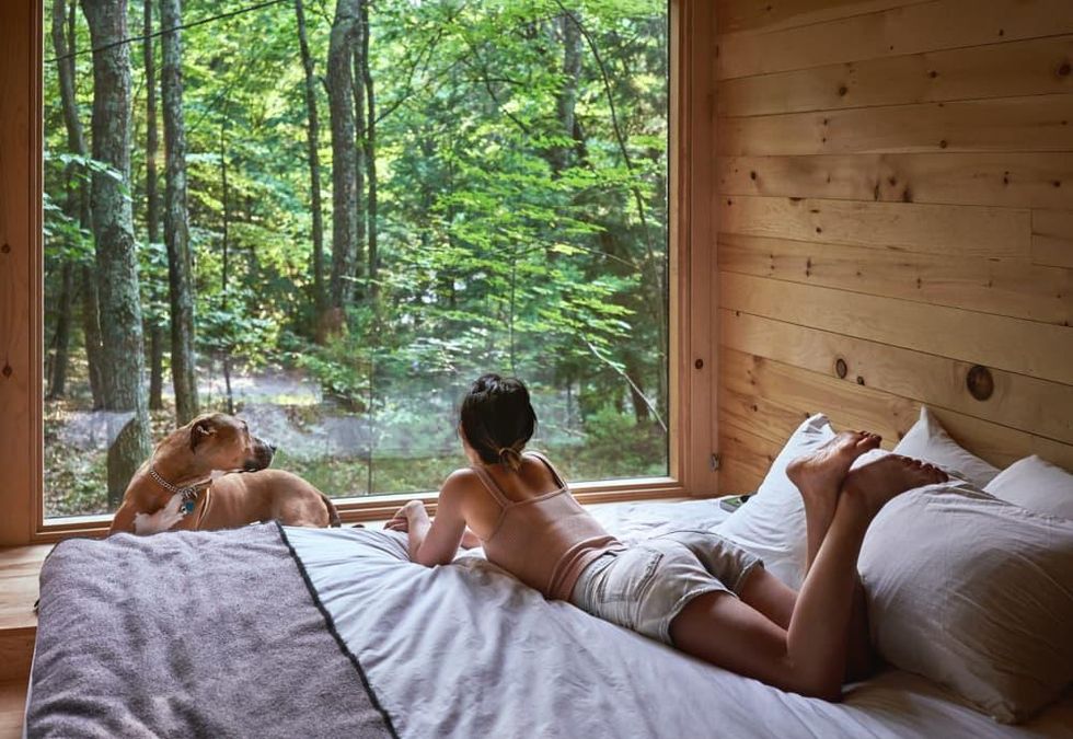 Getaway tiny cabins big window