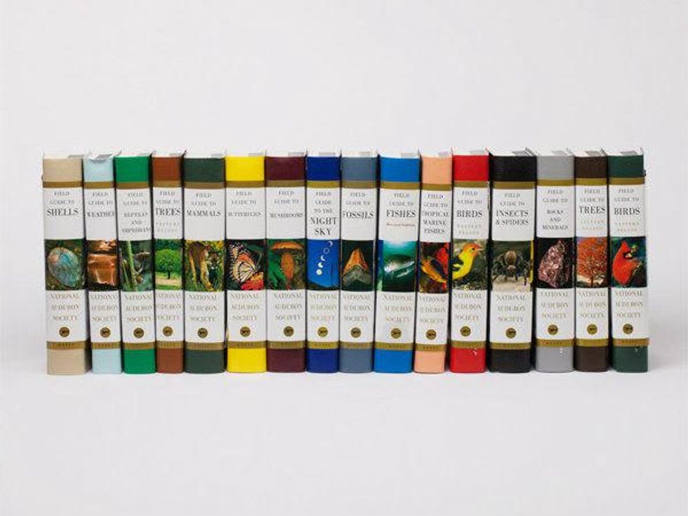 gift guide, holiday, books