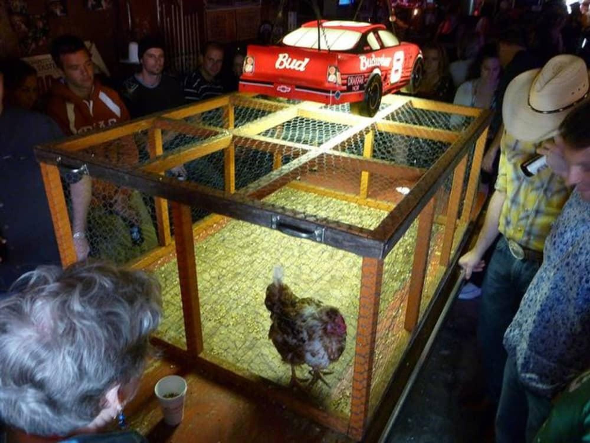Ginnys Little Longhorn Saloon Chicken Shit Bingo