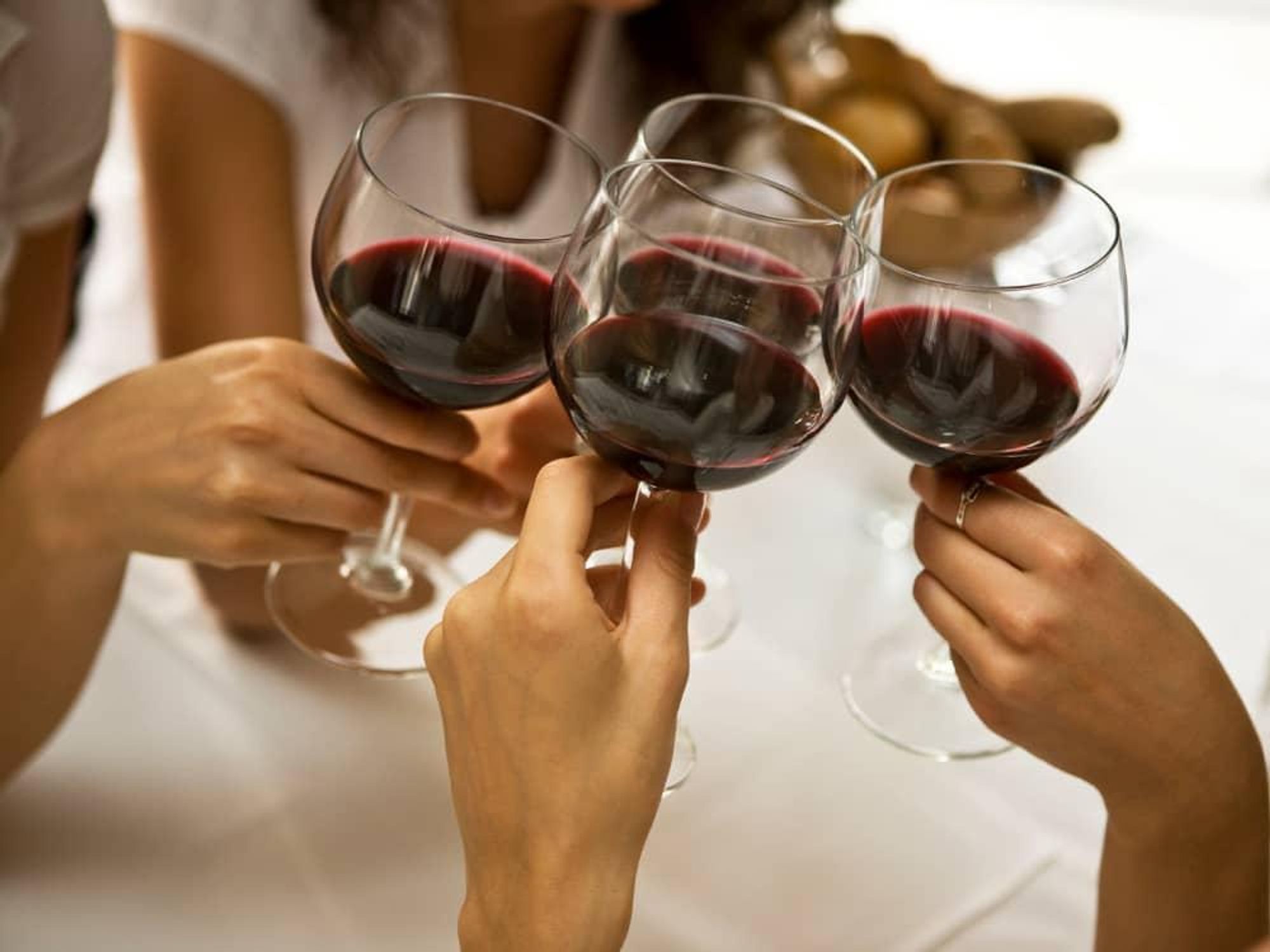Girls toasting with wine glasses