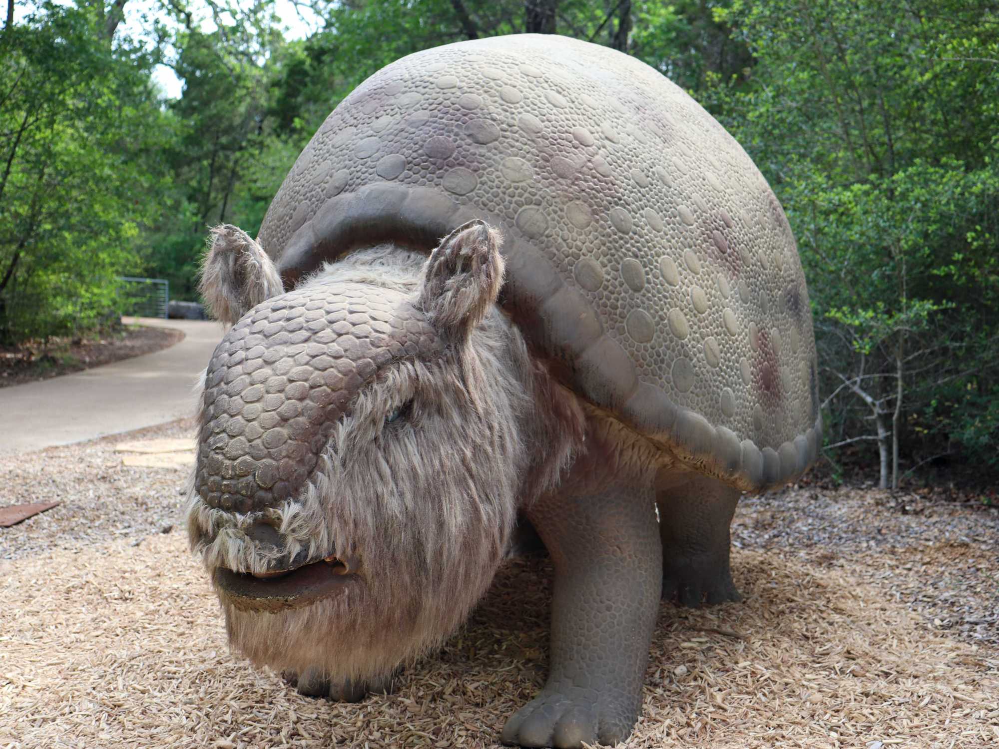 Glyptodon at Lady Bird Johnson Wildflower Center's Ice Age exhibit