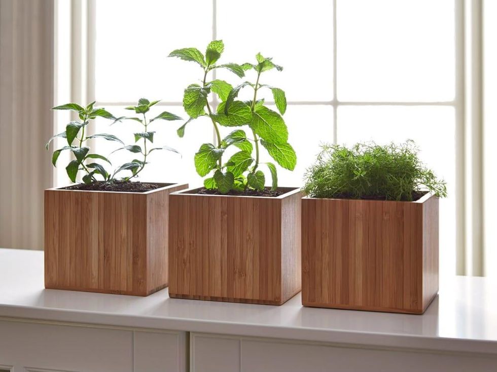 Grow boxes from Gardenuity