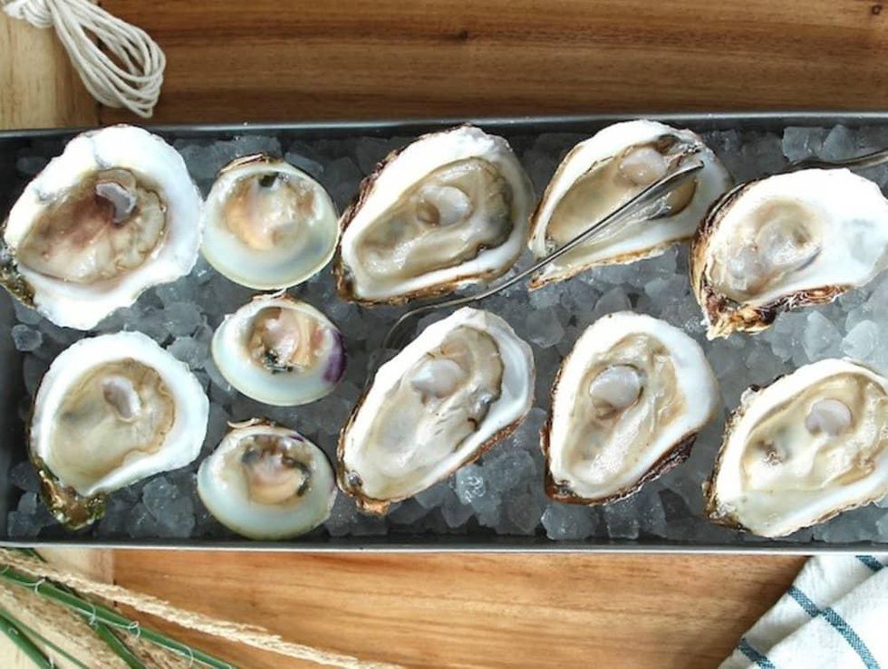 Guild ATX oysters