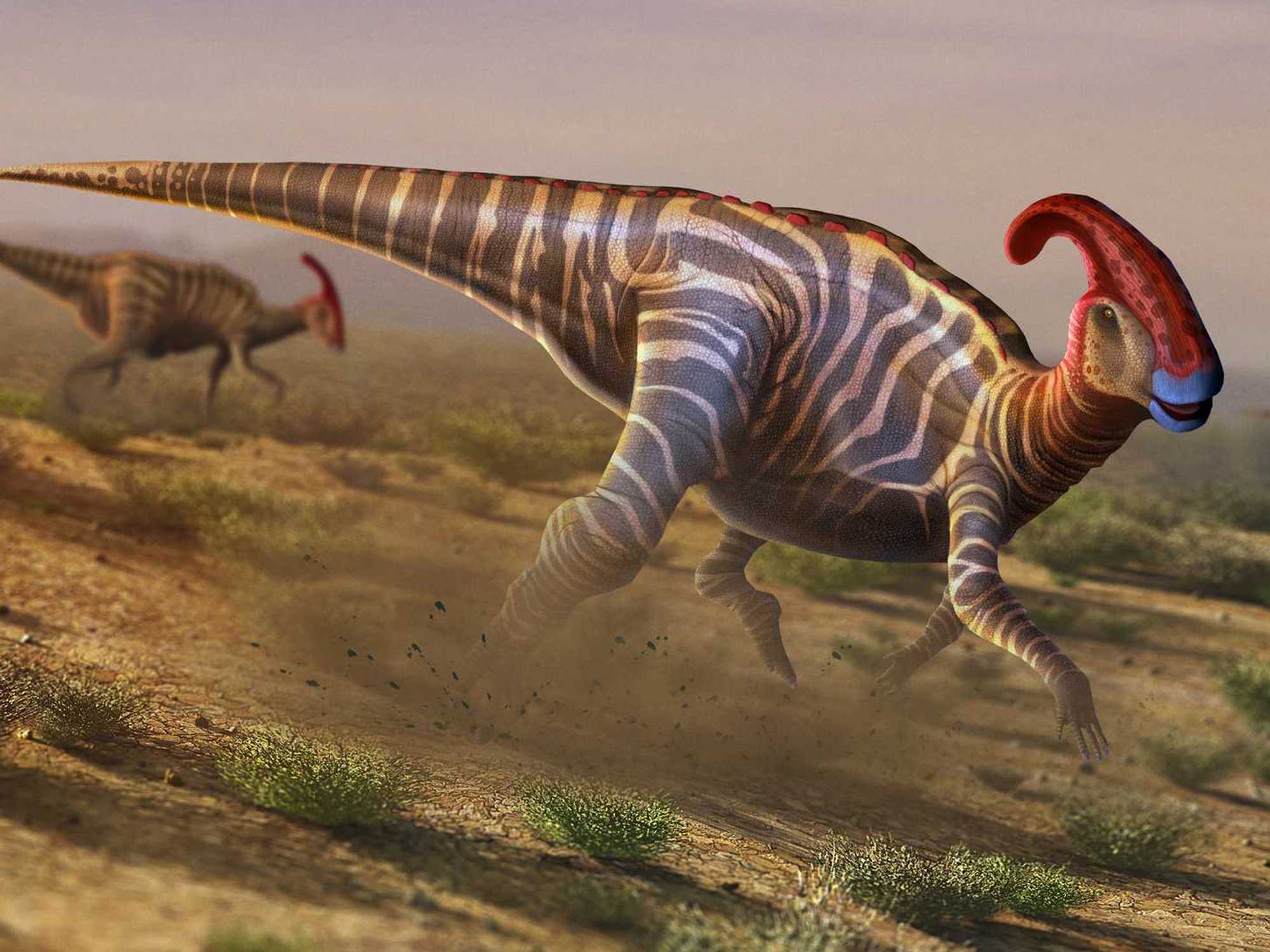 Hadrosaur illustration