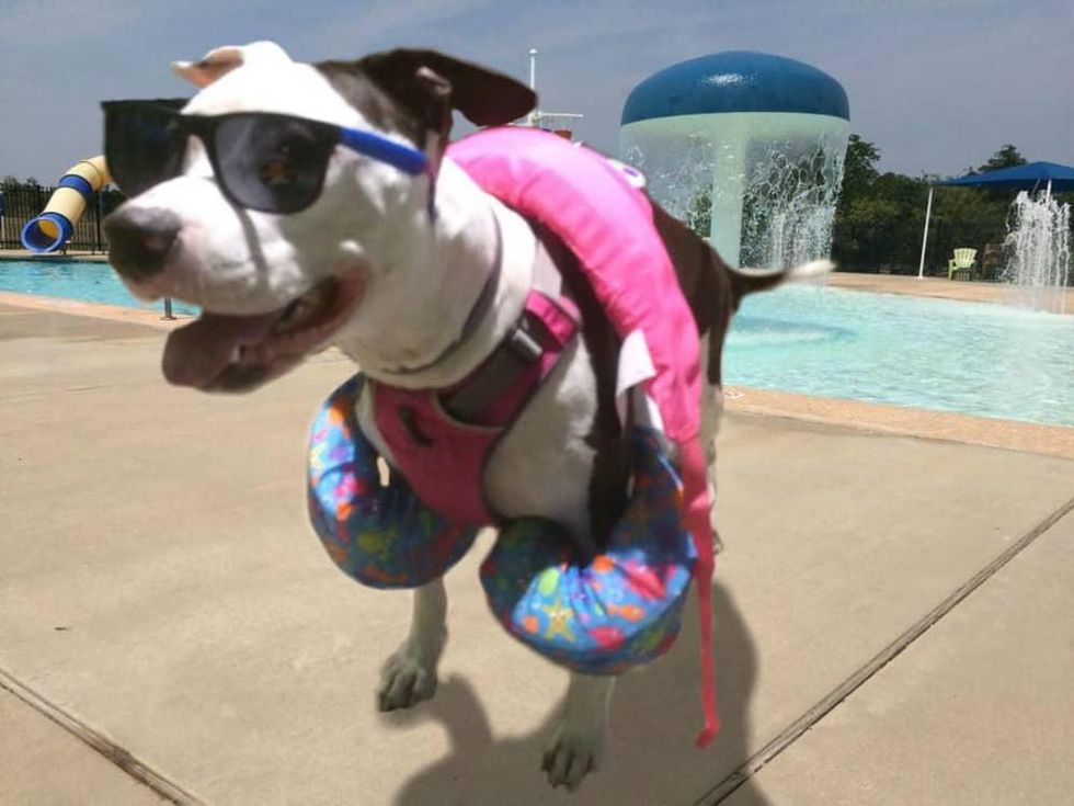 Hays Communities Family YMCA presents Paws in the Pool