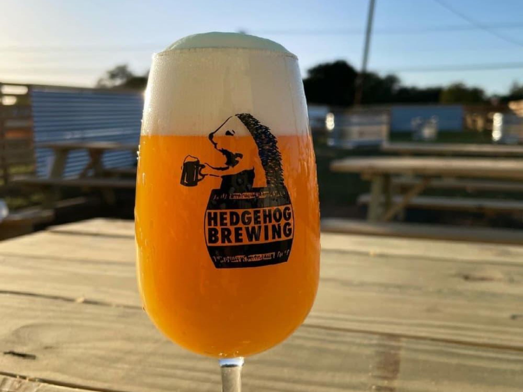 Hedgehog Brewing