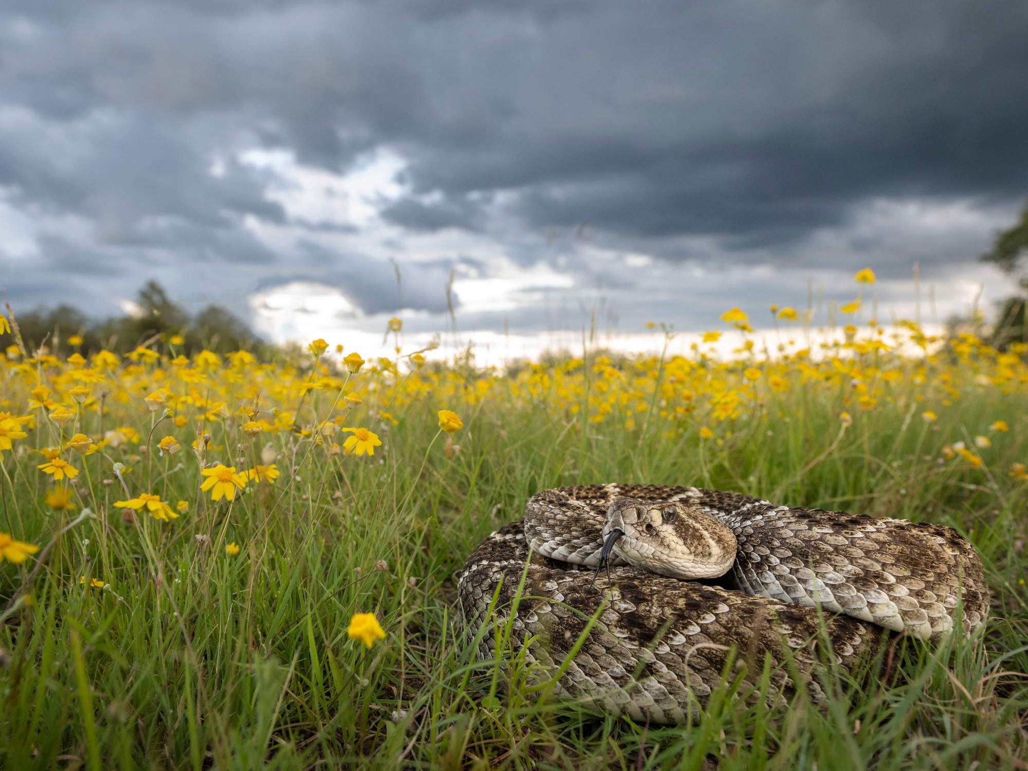 Contest photos show the Texas Hill Country in a new light - CultureMap ...