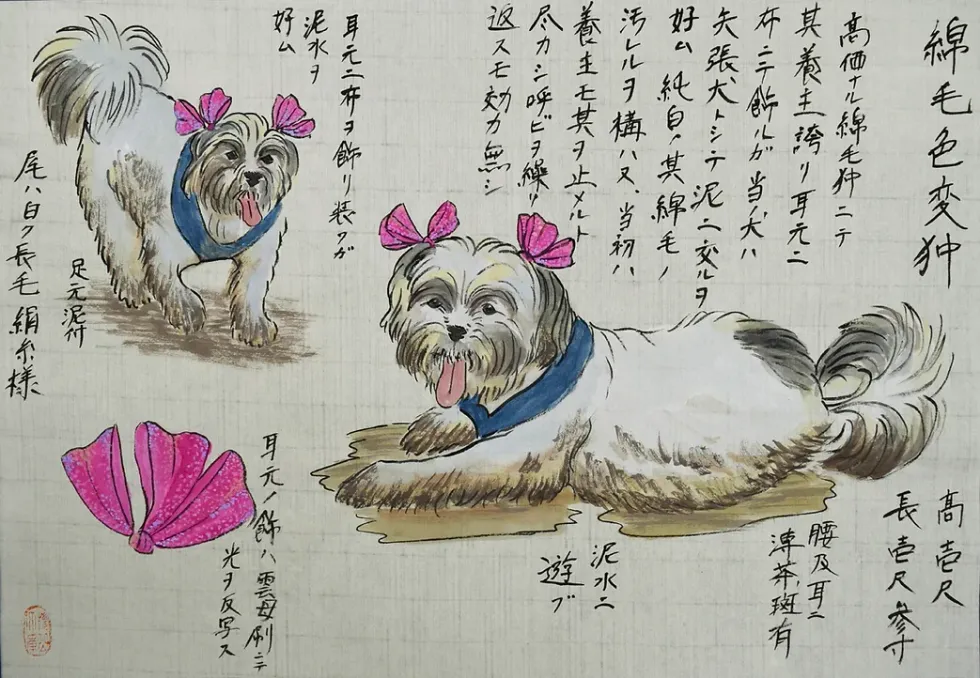 Hiromi Stringer: "The Dog Show: Time Traveler Umeyama's Drawings from the 21st Century"