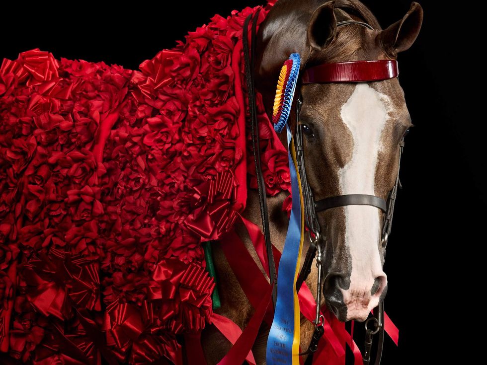 Horse in Farm Life by Randal Ford