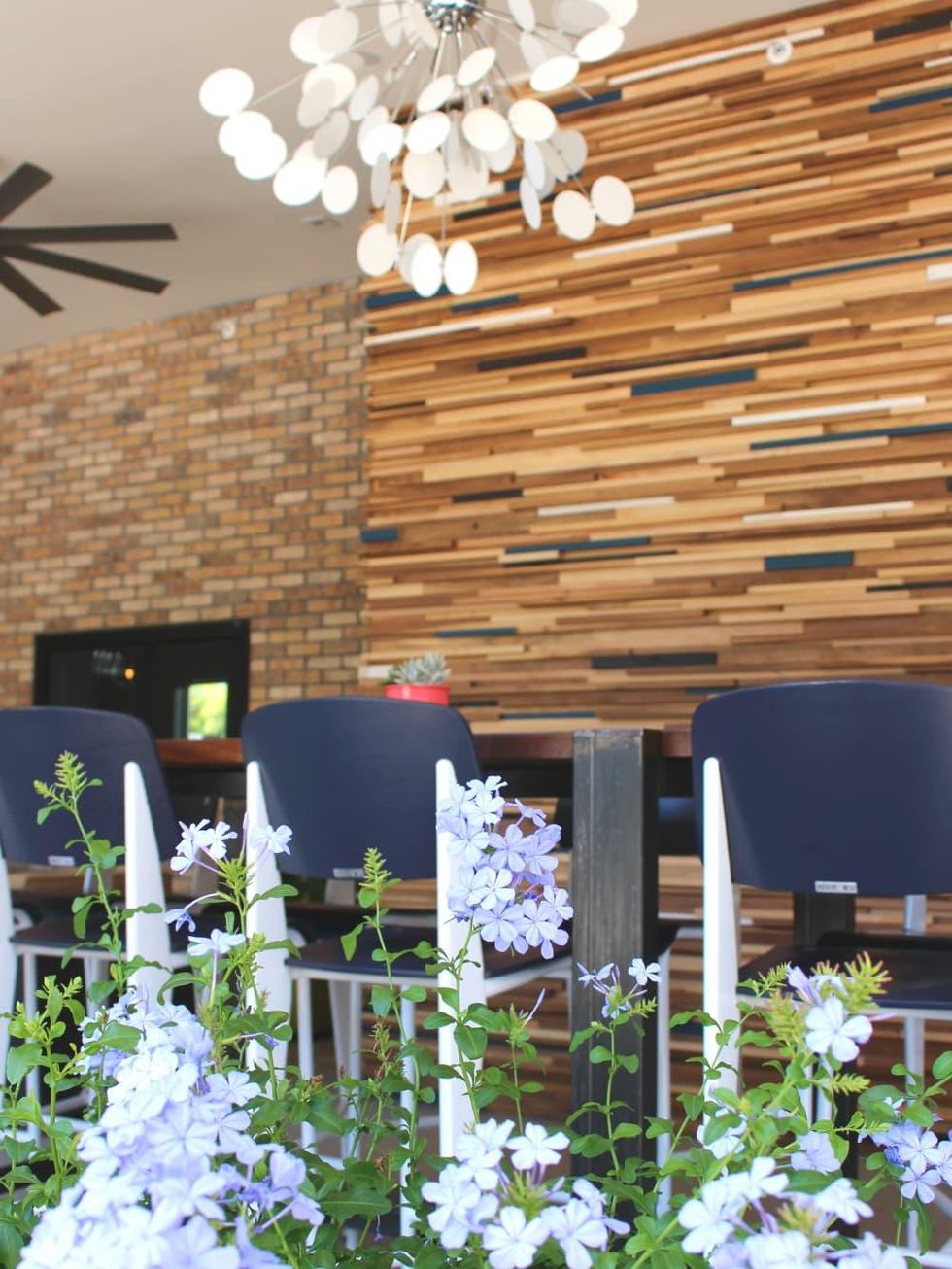 Hotel Eleven 11th Street Austin 2016 back patio