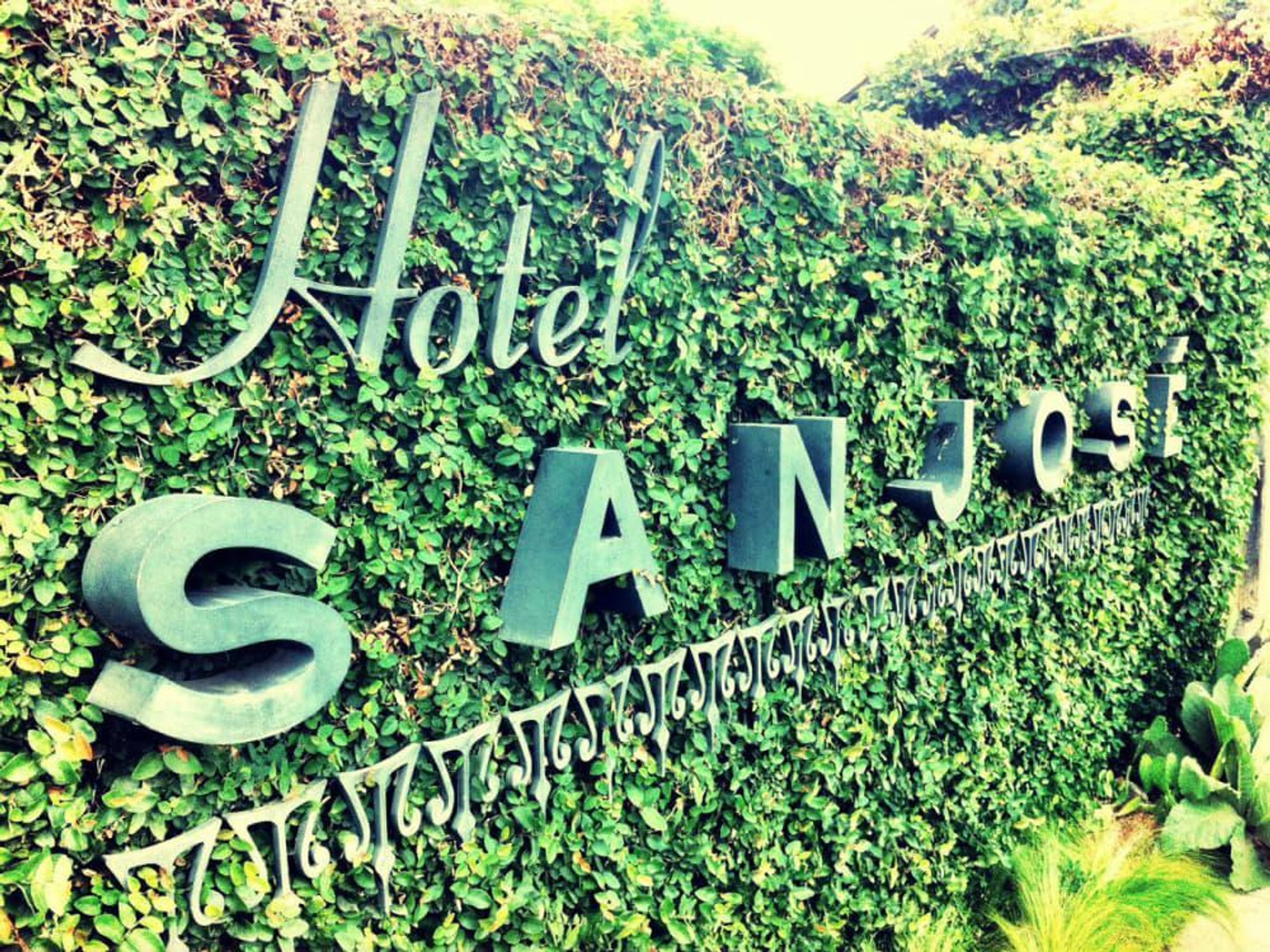Hotel San Jose_hedge_name