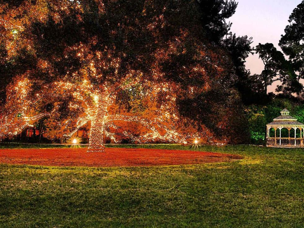 Houstonian Christmas decorations