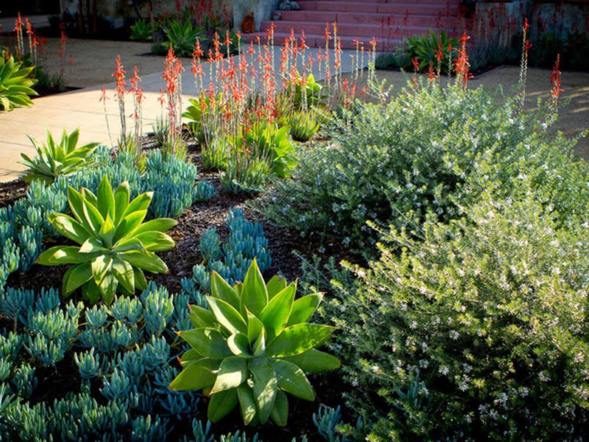 Houzz garden design 6