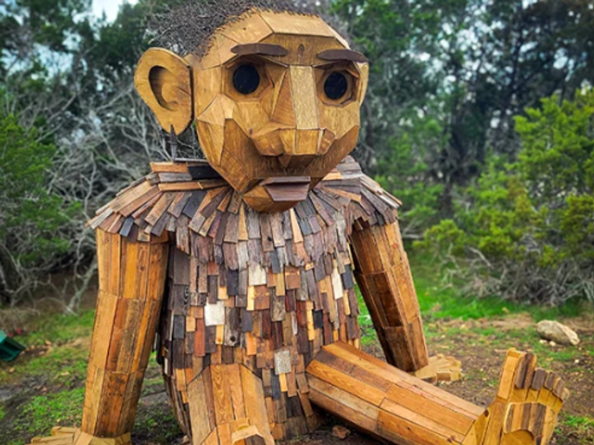 Hugo at Sundrop Springs Farm