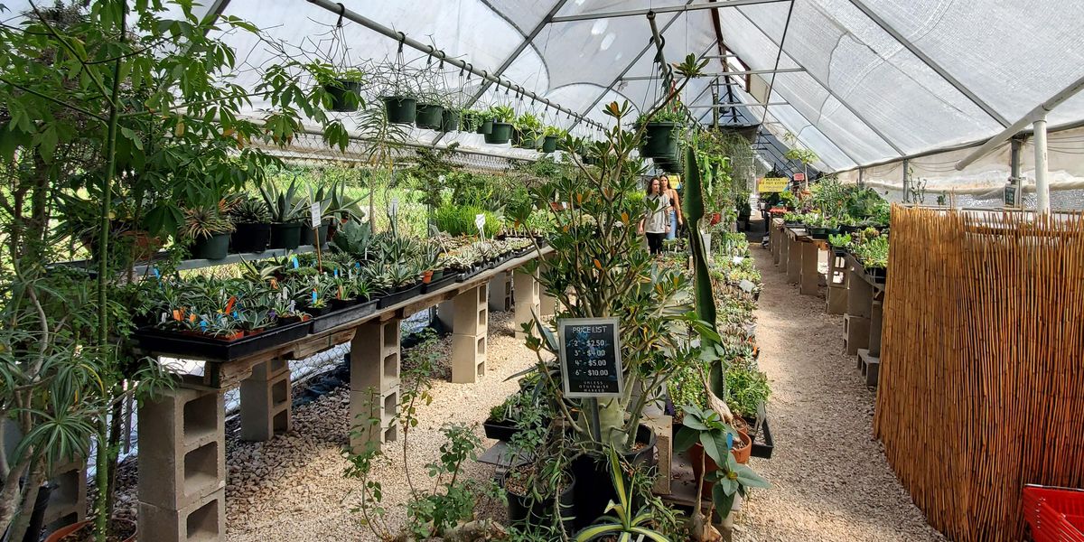 2 Austin plant sellers spend a decade together in neighborhood business ...