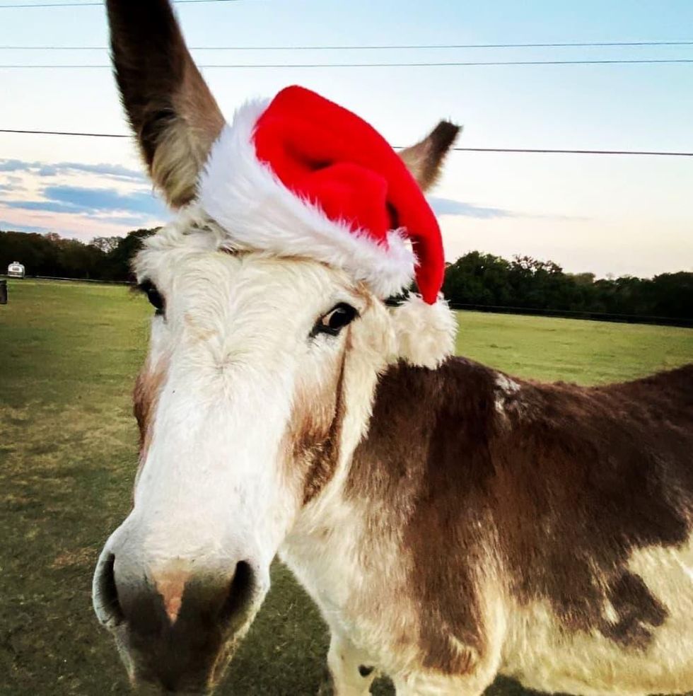 Indian Springs Ranch