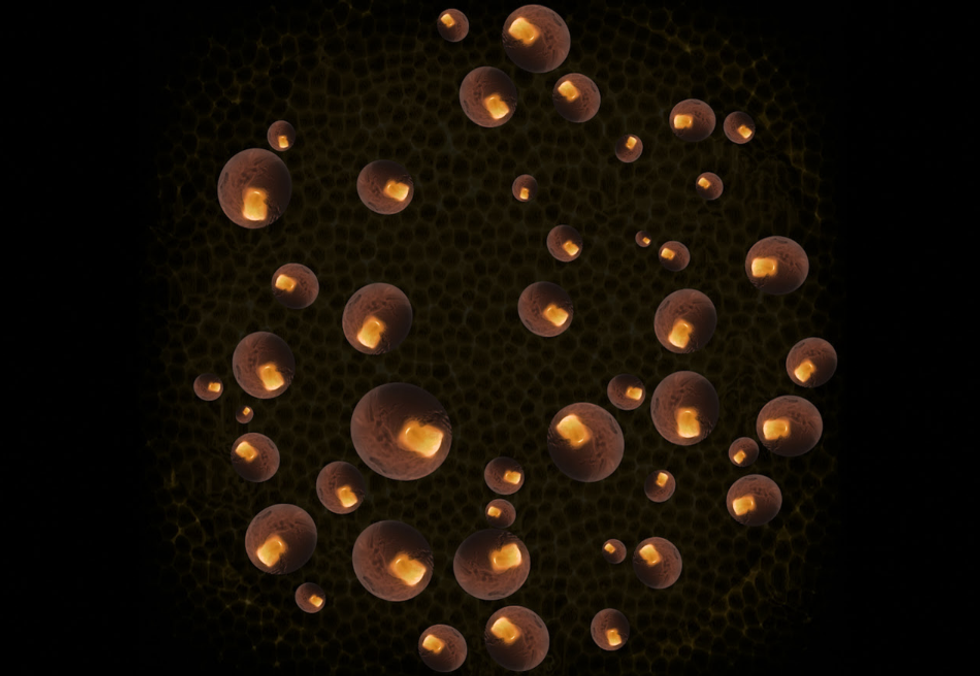 "Inhale the Interruption \u52a8\u5f39" opening reception