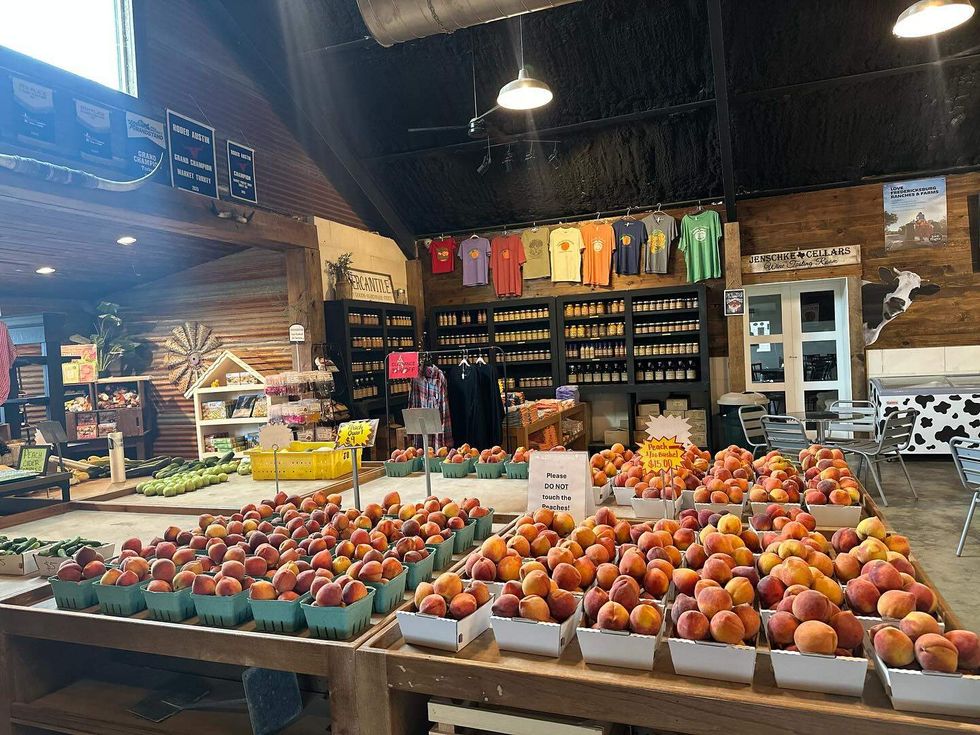 Jenschke Orchards peaches