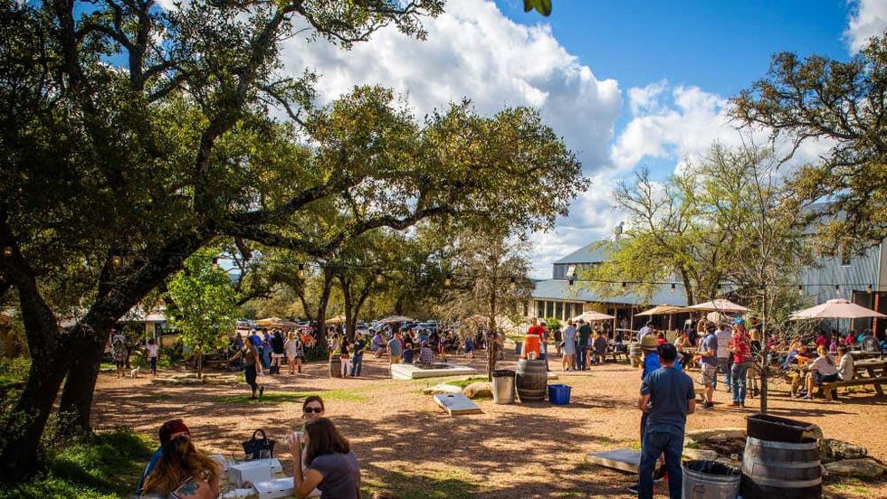 Jester King Brewery grounds