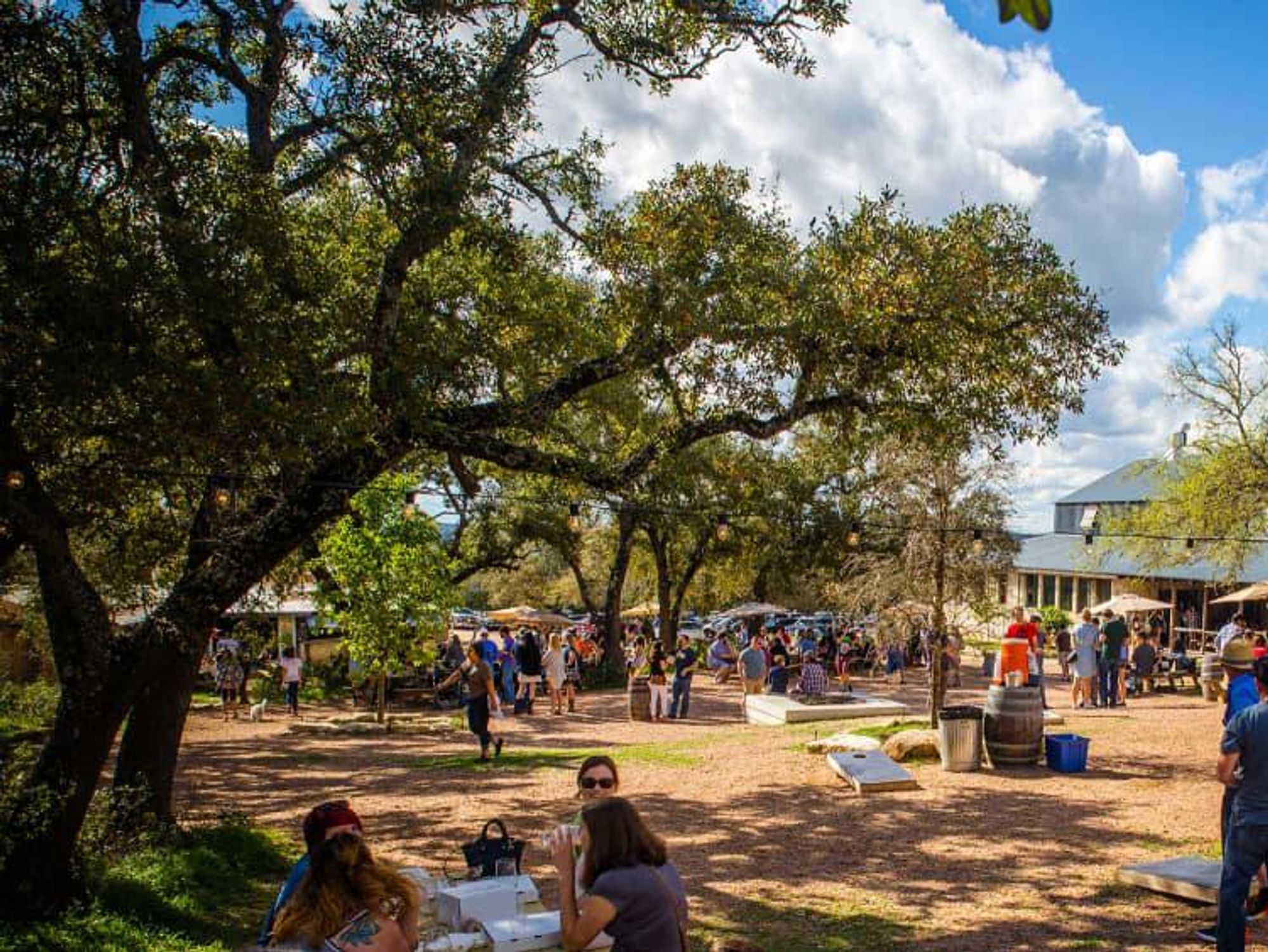 Jester King Brewery grounds