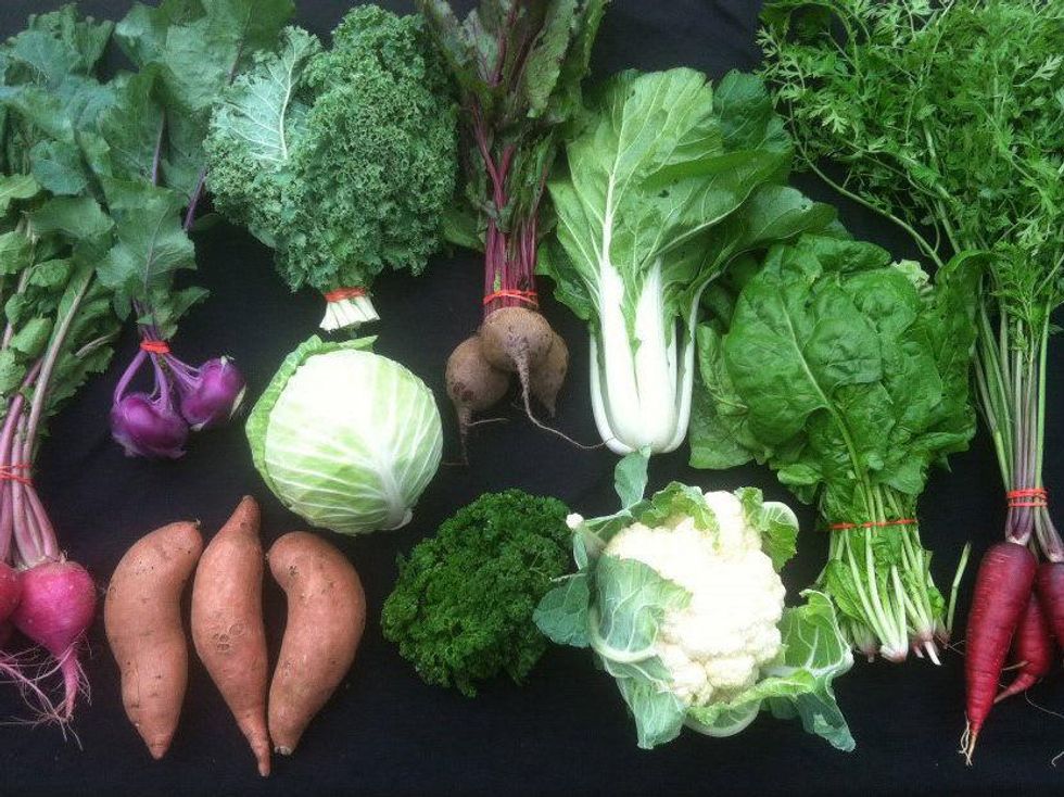 Johnson's Backyard Garden CSA Box Gift Guide