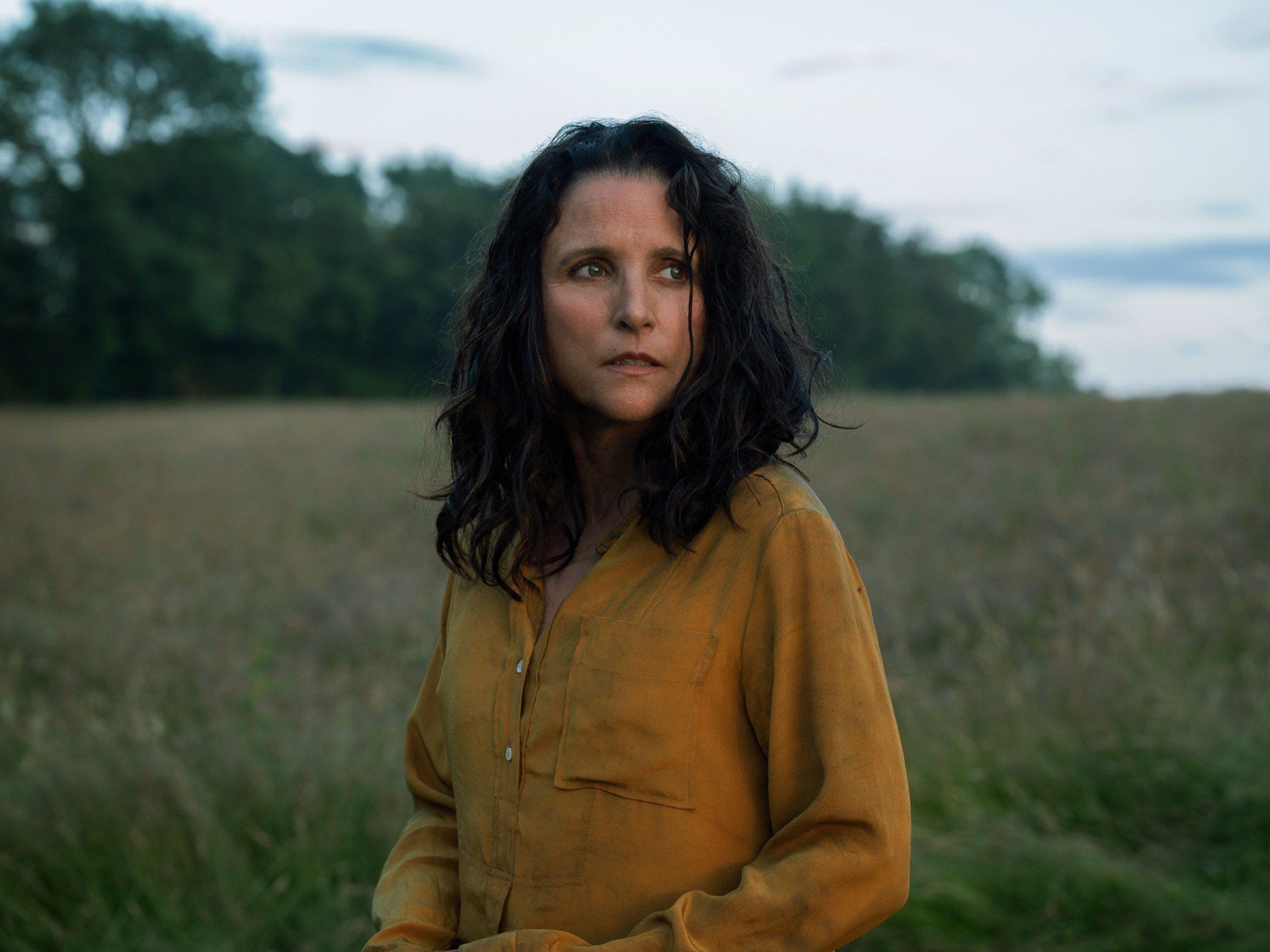 Julia Louis-Dreyfus in Tuesday