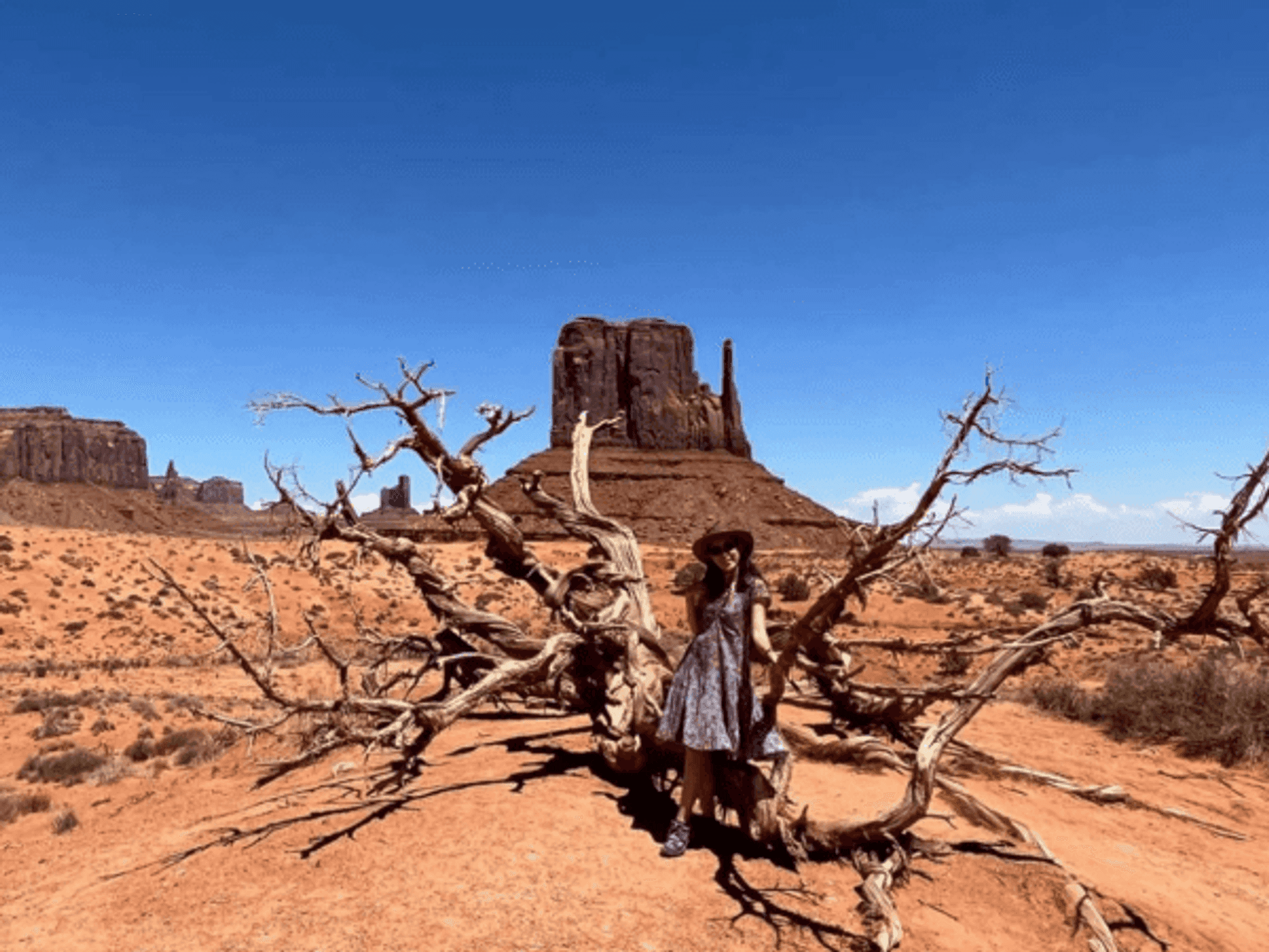 Kaitlin Le's 21 Days in the Southwest