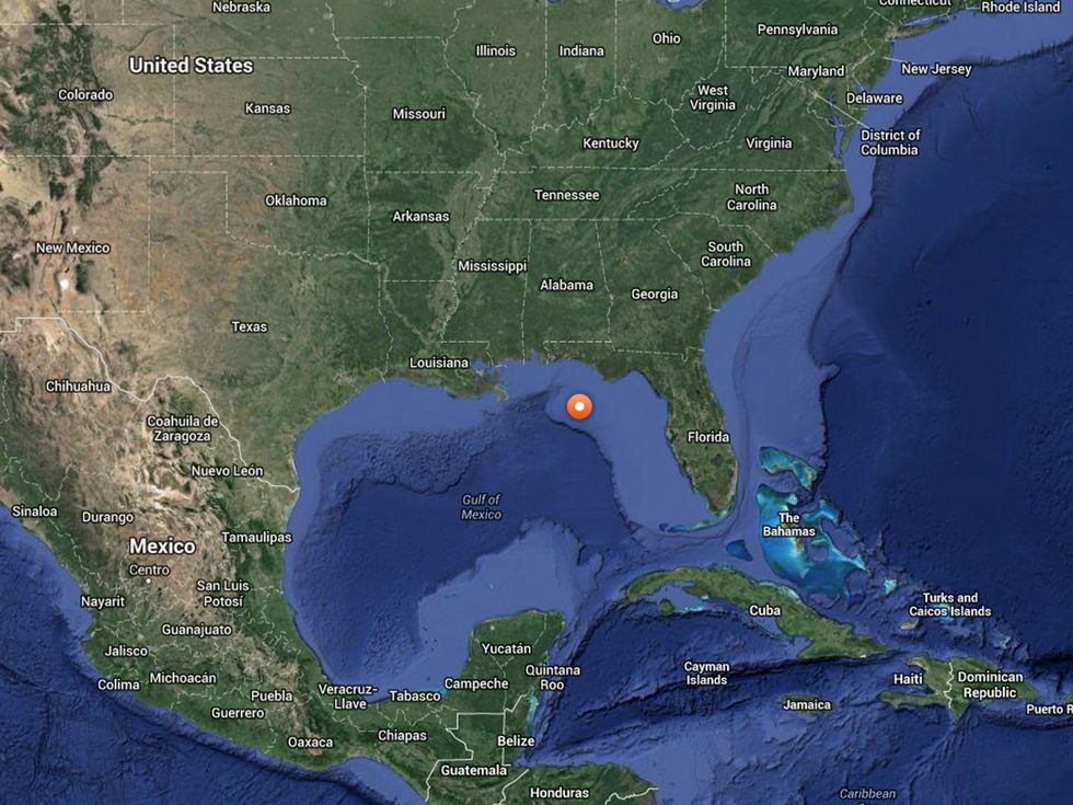 Katharine shark great white location June 17, 2014