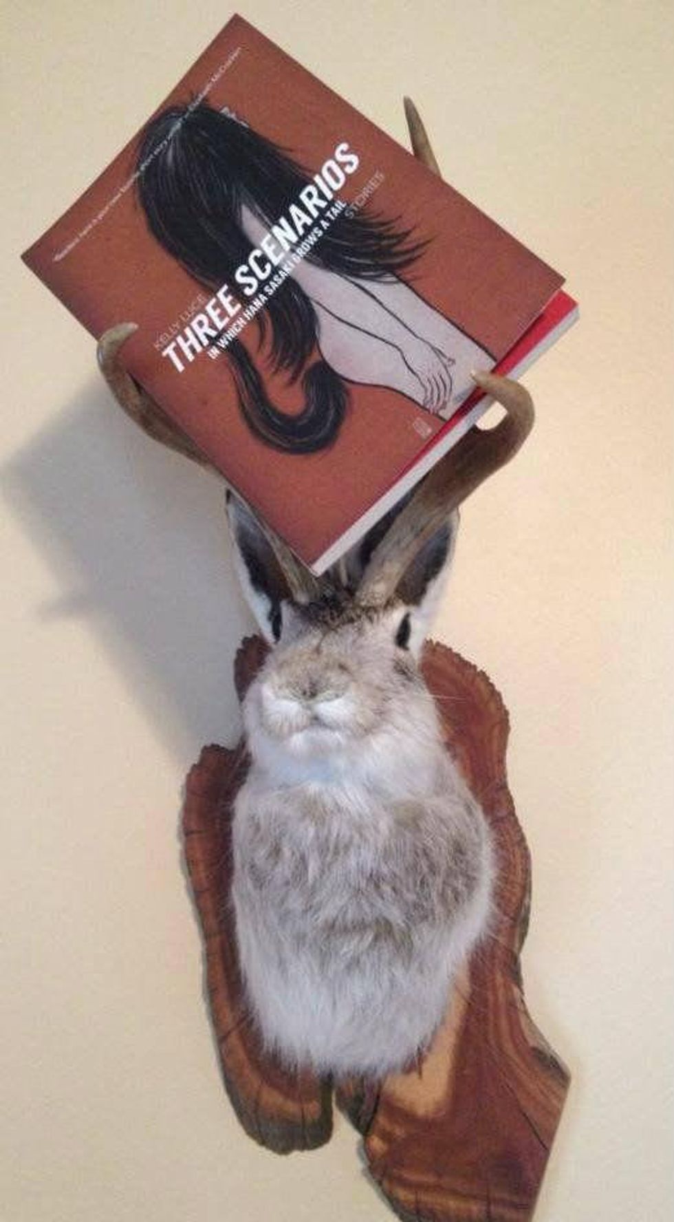 Kelly Luce book Three Scenarios