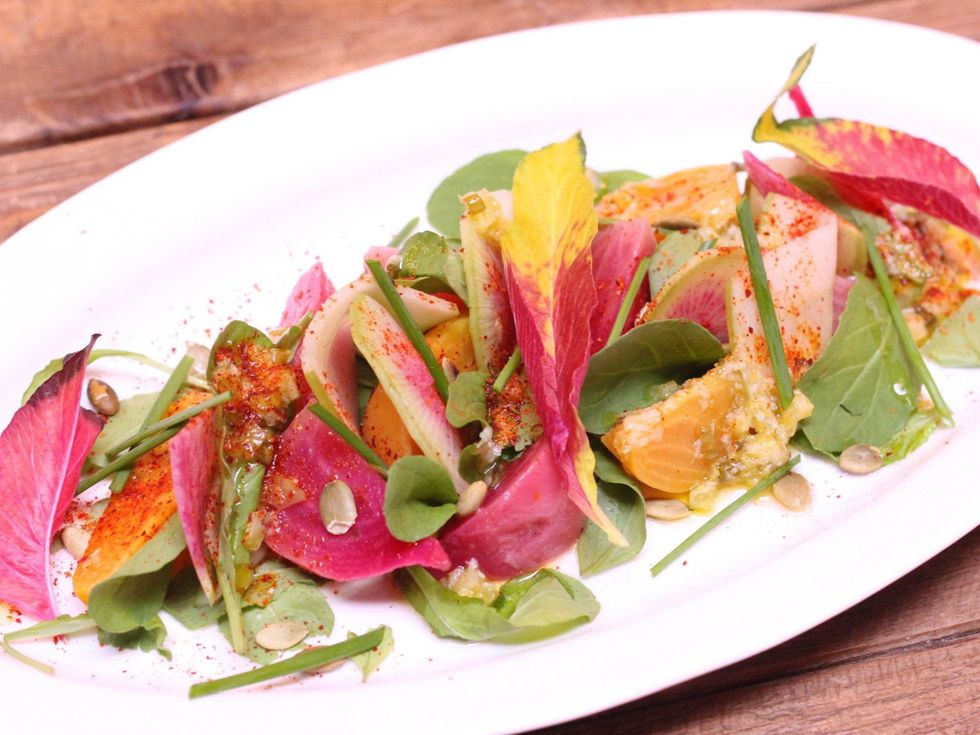 Kenzie Allen's Next in Line