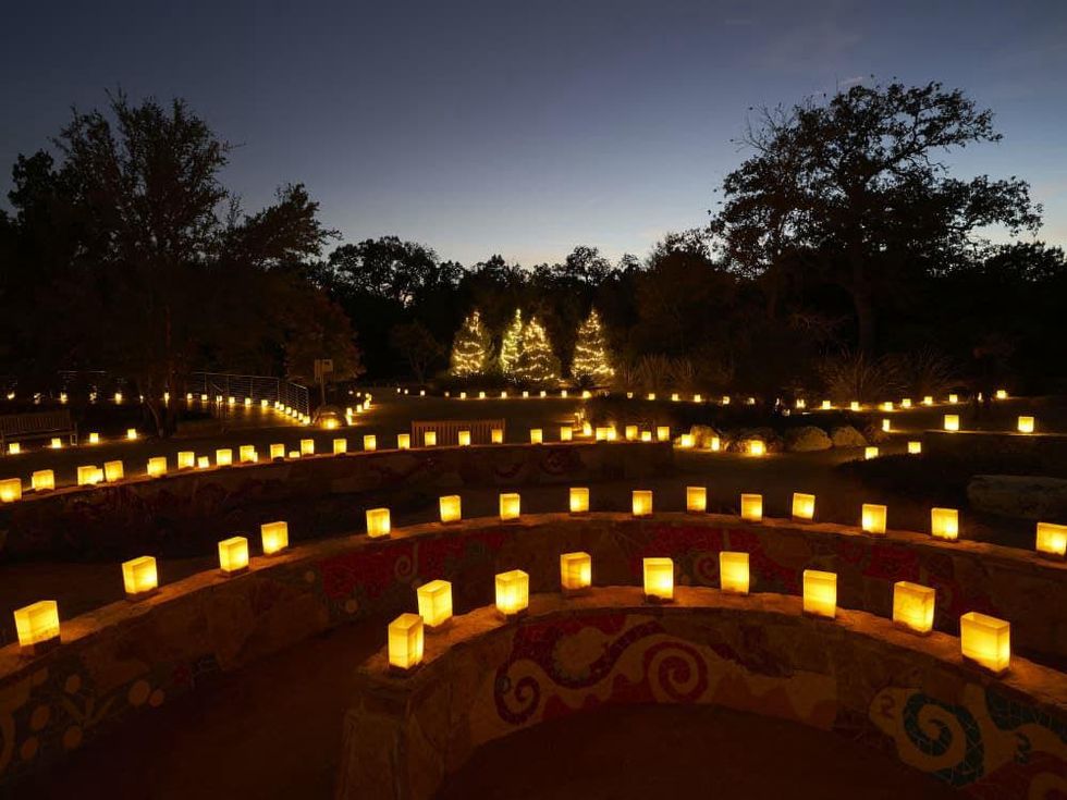 Lady Bird Johnson Wildflower Center - Luminations