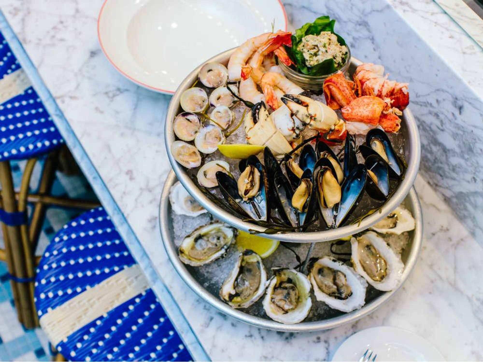 Le Politique Grande Plateau