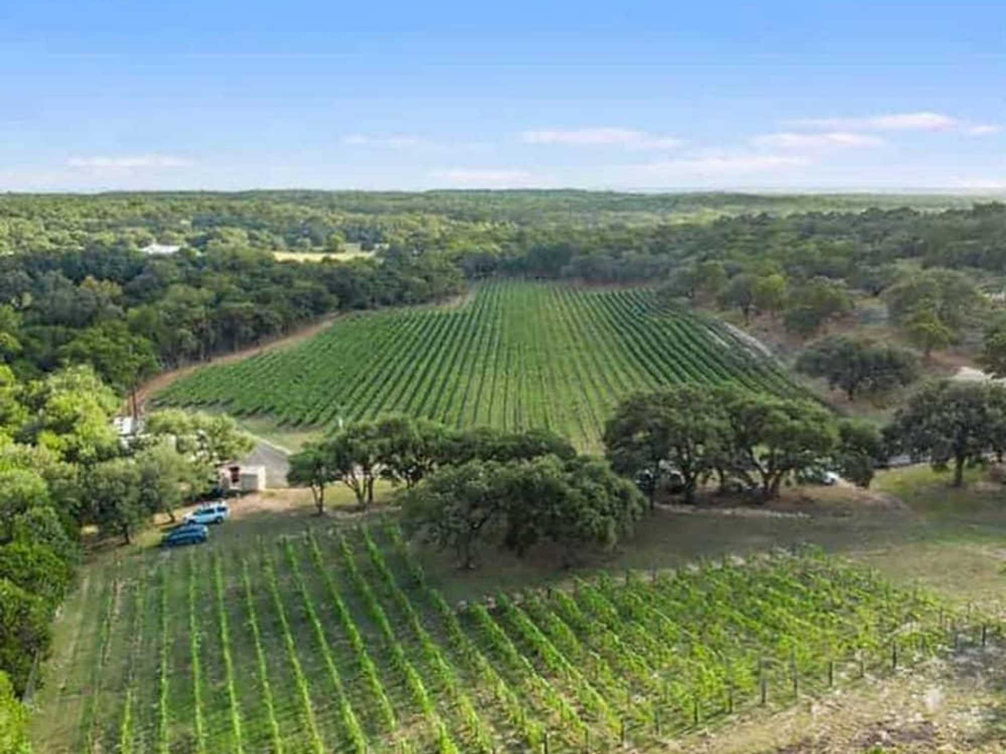 Limestone Terrace Winery Wimberley Hill Country