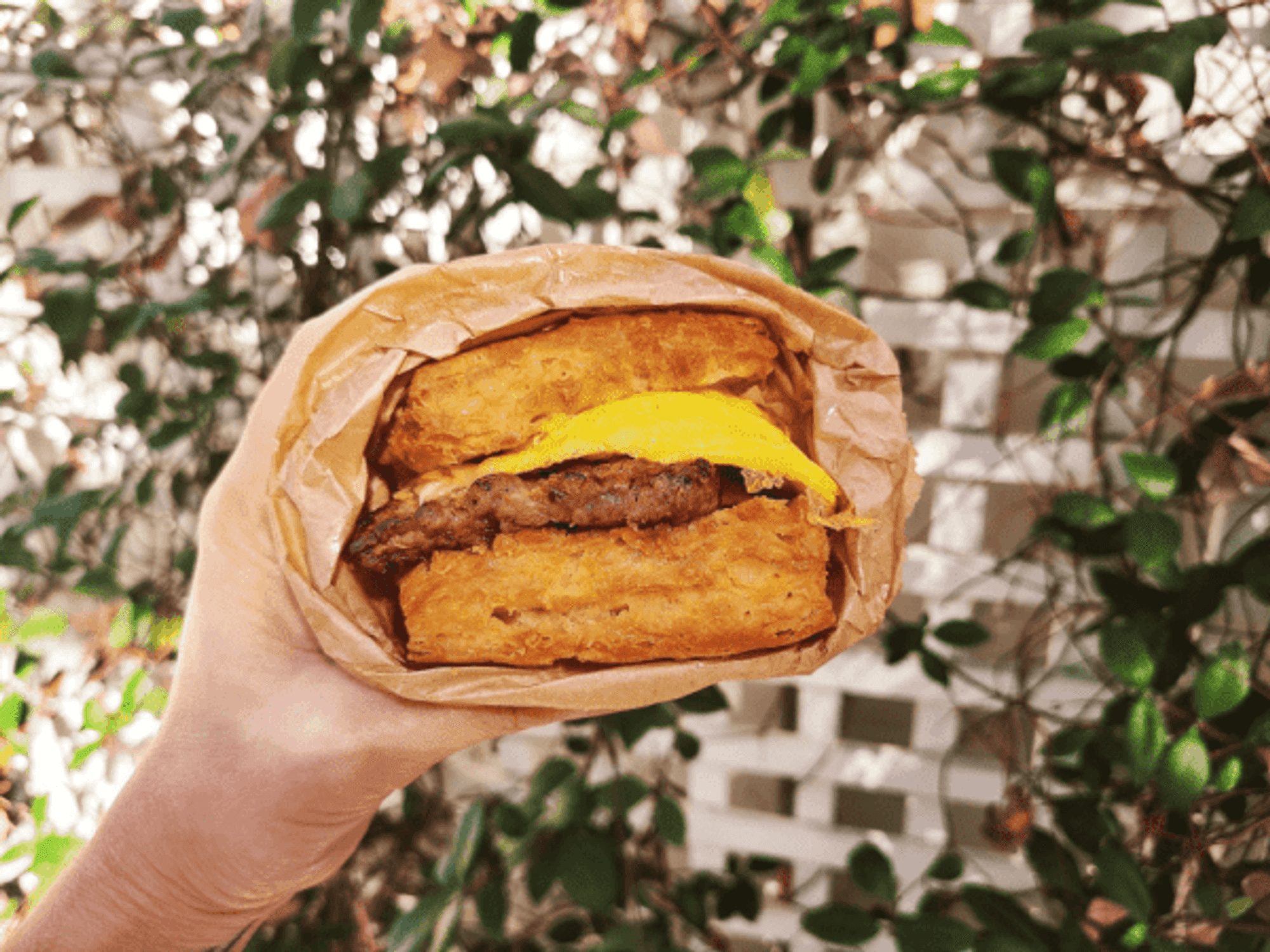 Little Ola's Biscuits