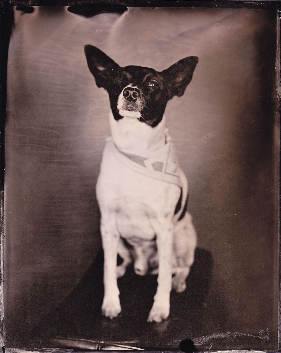 Lumiere Tintype Photography