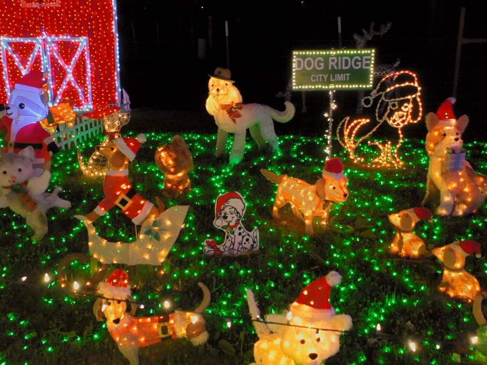 Mach Christmas Display, Great Christmas Light Fight, Dog Ridge