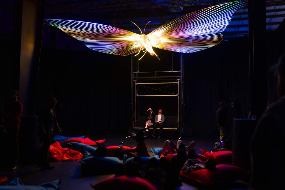 Mariposa by Christopher Schardt