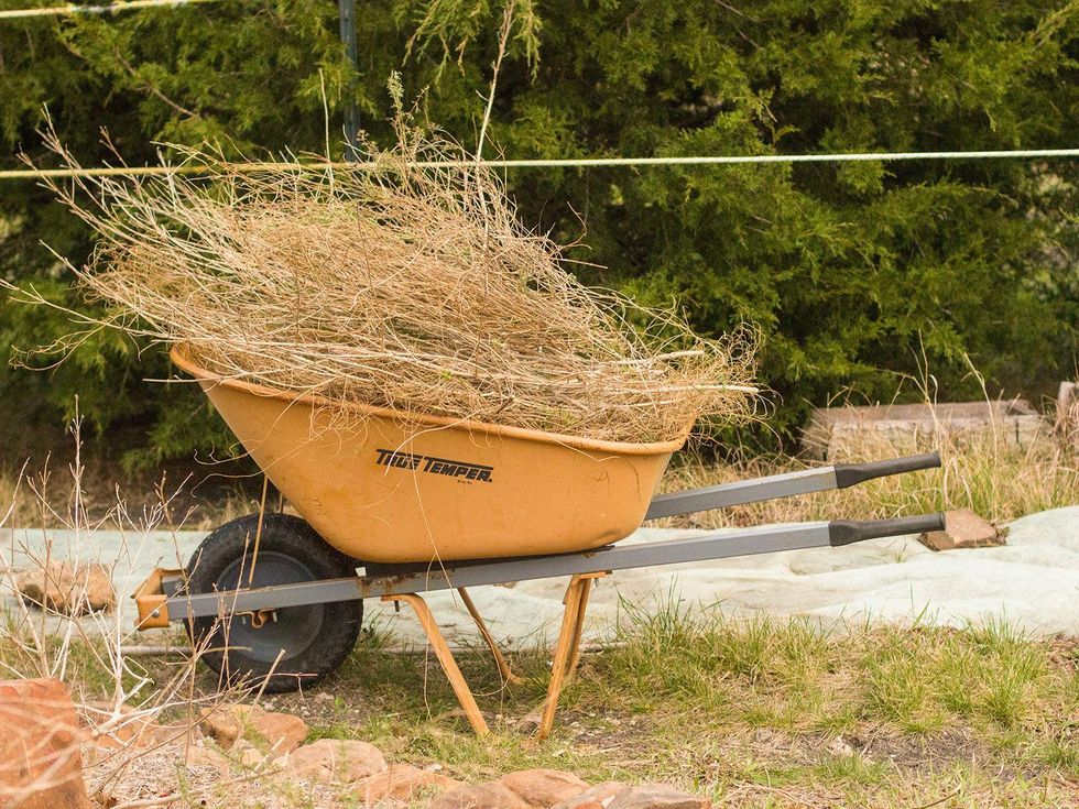 Marshall Hinsley, garden