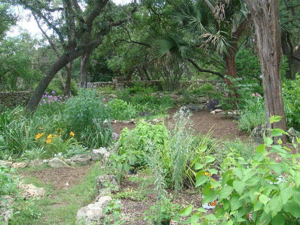 Mayfield Nature Preserve_Austin_volunteer garden_2015