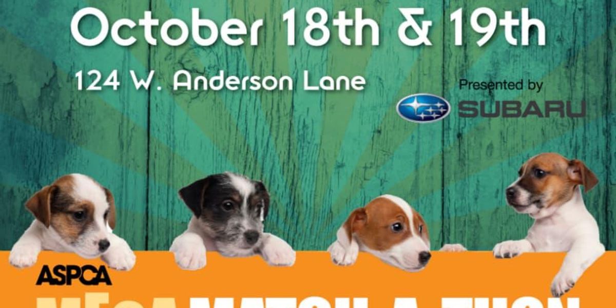 Aspca Events ASPCA presents the Mega Match-a-thon adoption event - CultureMap Austin