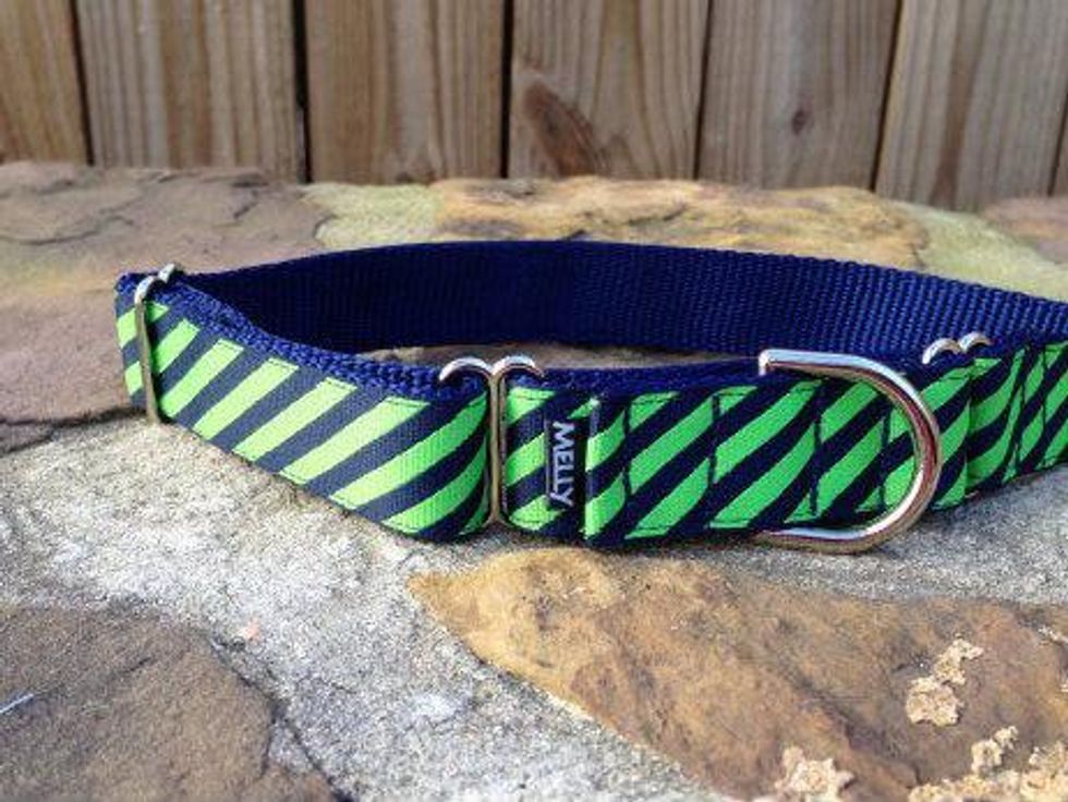 Melly Collar Austin handmade dog collar