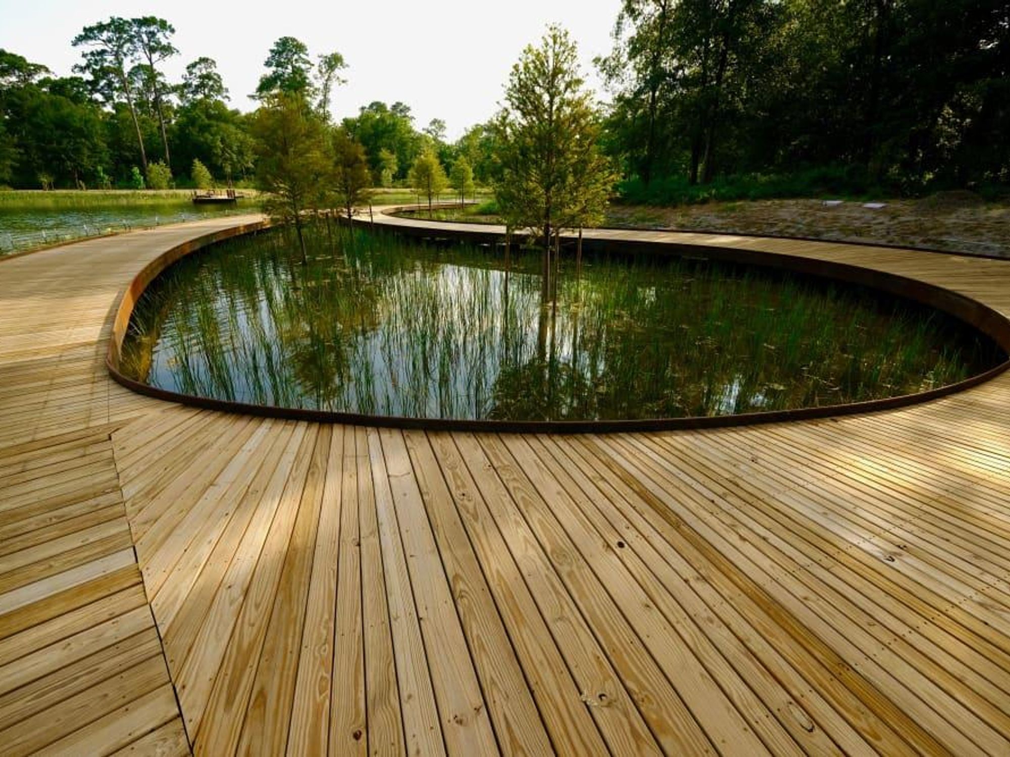 Memorial Park Eastern Glades Boardwalk over Hines Lake