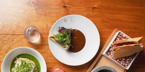 Major Mexican chefs and hospitality leaders open chic new 6th Street space - Vimarsana News