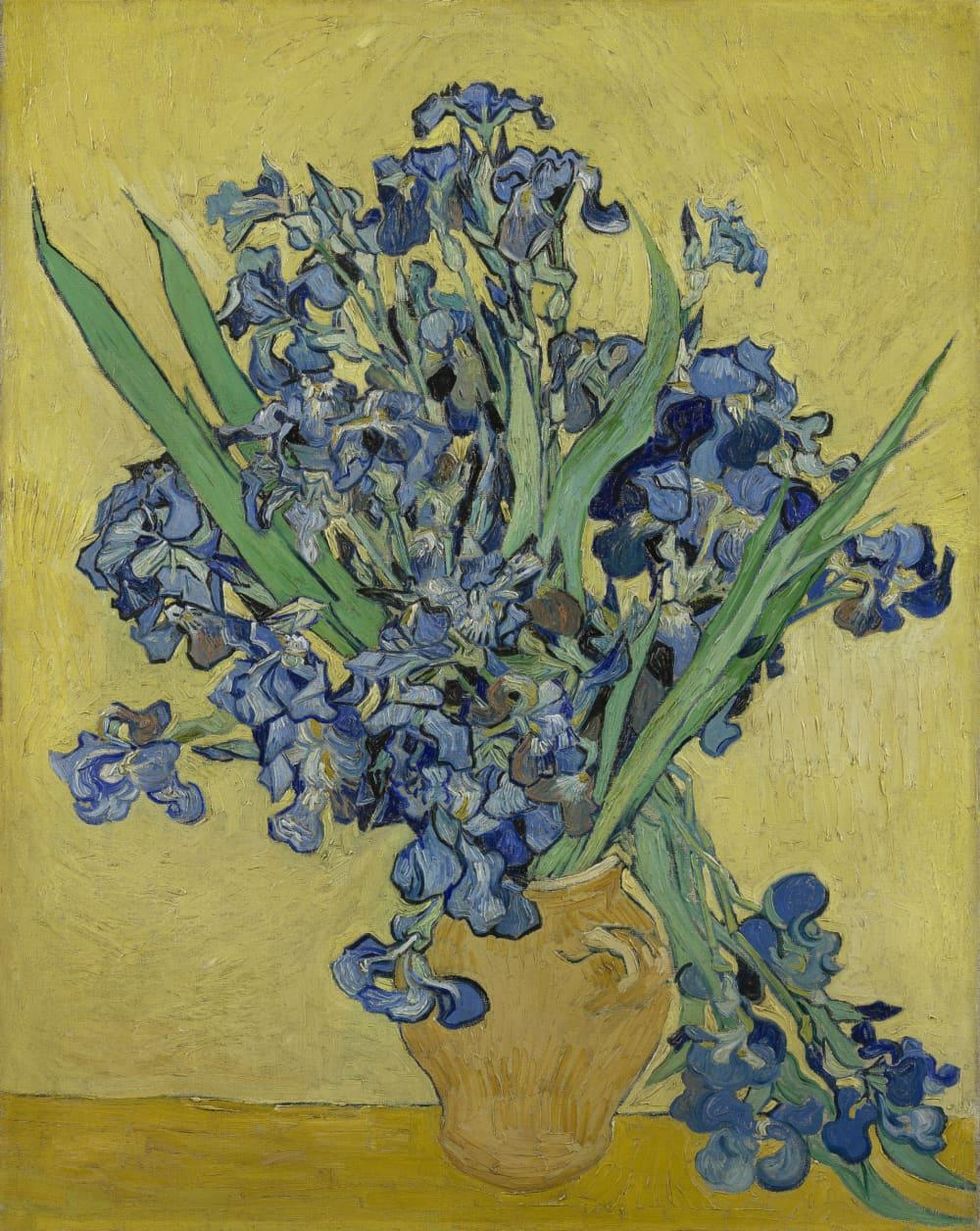 MFAH:Vincent van Gogh: His Life in Art, Irises