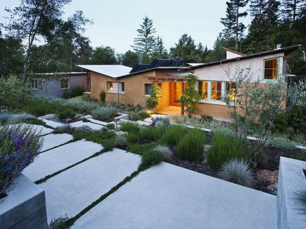 Modern backyard garden