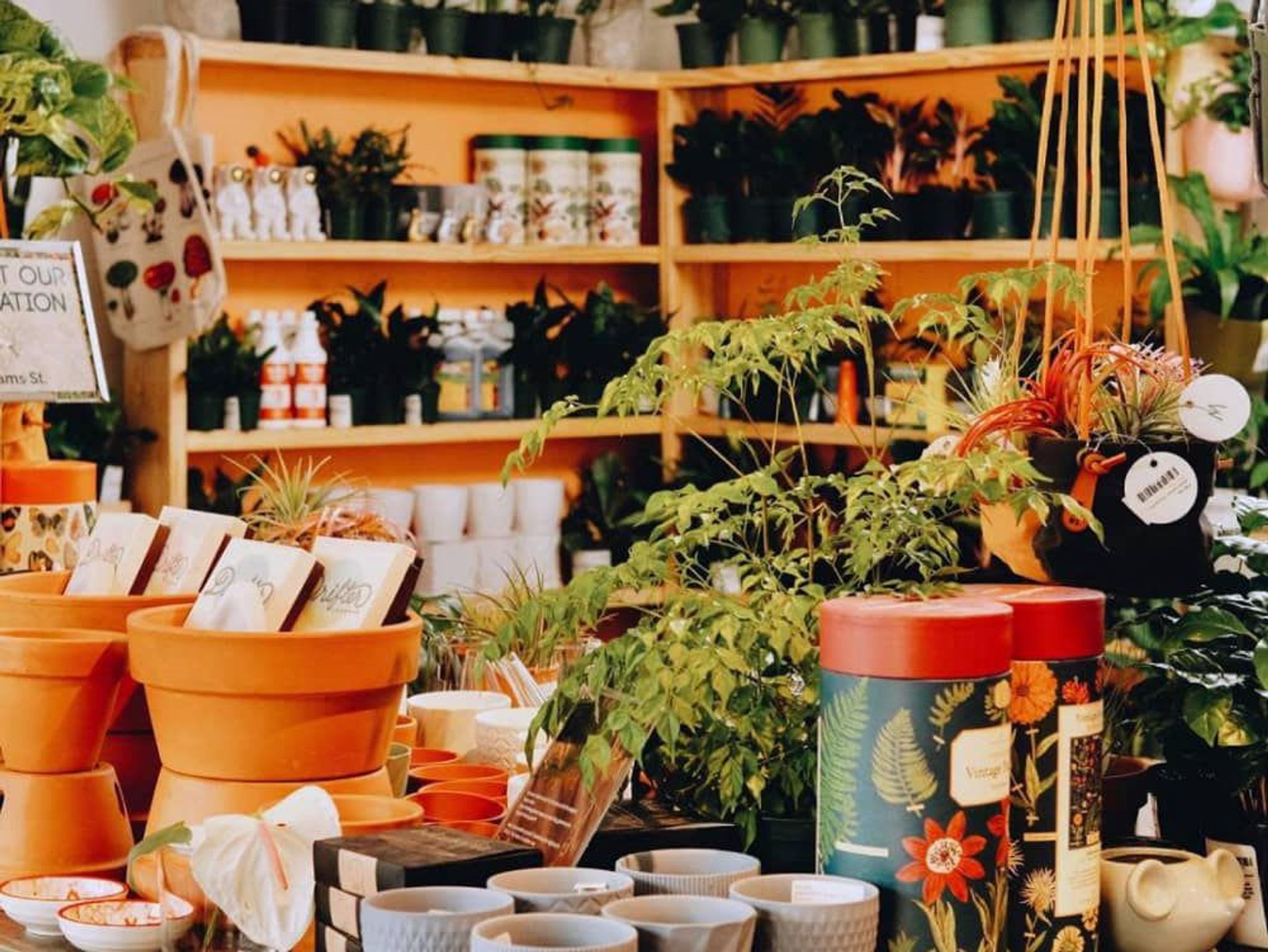 Moment by Mayawell pop-up